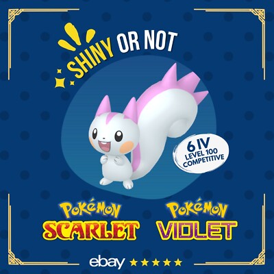 Pachirisu Shiny or Non   6 IV Competitive Customizable Pokémon Scarlet Violet