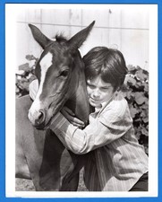 Brandon Cruz (The Courtship of Eddie's Father) Original 7x9 Vtg Press Photo 1971