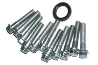 FüR Royal Enfield Uce Klassisch 500 Efi Links KurbelgehäUse Abdeckung Bolt &