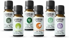 100% Pure Essential Oil Aromatherapy Therapeutic Grade Natural & Organic (6 Pk)