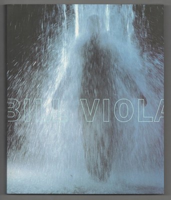 Lewis Hyde / BILL VIOLA 1st Edition 1997 #210943
