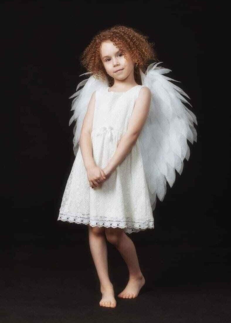 Buy Fairy Angel with Pink Wings Fancy Dress Costume for Girls Online