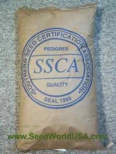 TifQuik Bahia Grass Seed (Certified)