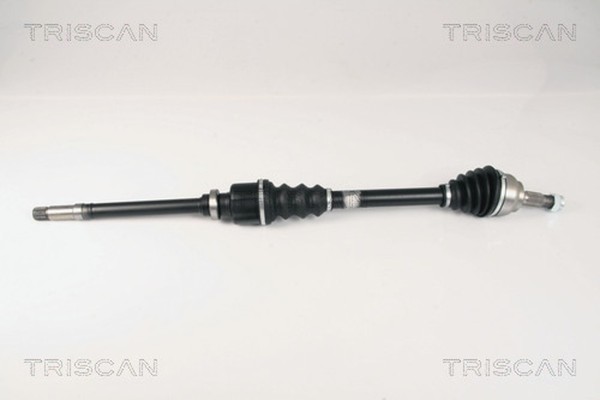 Antriebswelle Triscan 8540 28644 FüR C4 Peugeot 307 CC SW CitroËN 3A 3H Break 3E-image