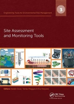 Engineering Tools for Environmental Risk Management: 3. Site Assessment and