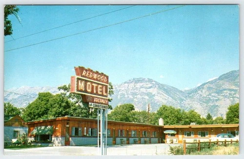 1940-50's PROVO UTAH REDWOOD MOTEL NEON SIGN MOUNTAINS VINTAGE CHROME POSTCARD