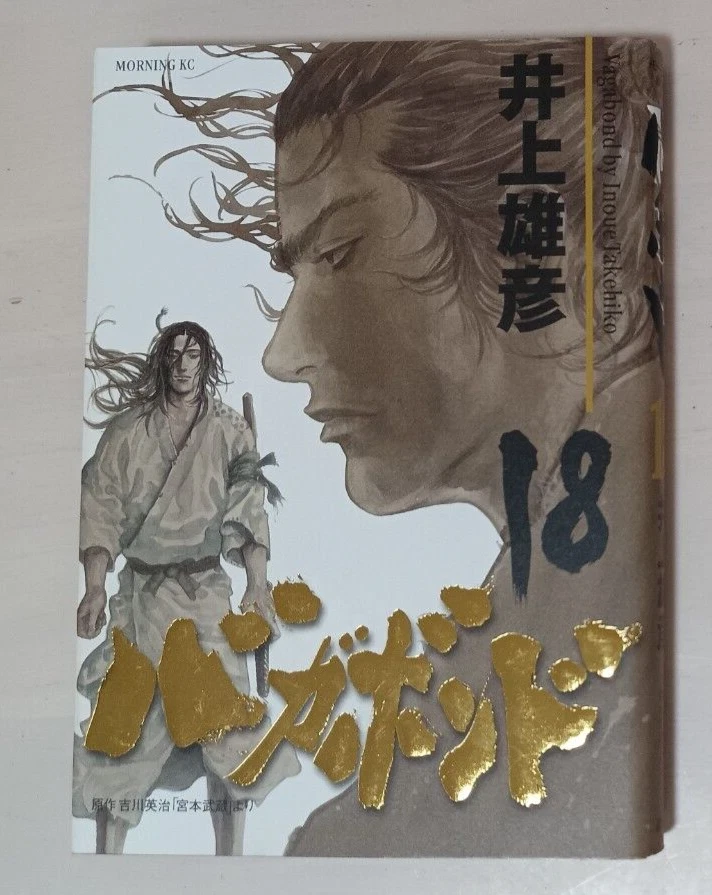 Vagabond 18 sale