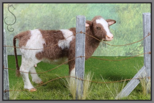 teensyweensy13 的档案