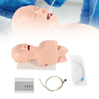 Adult Model Airway Management Trainer Oral Intubation Manikin Study Teaching