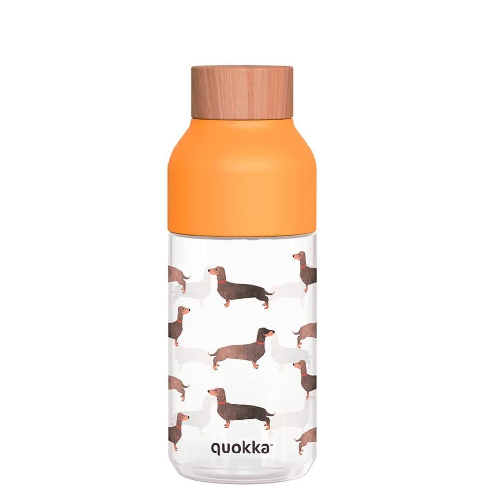 Bouteille Ecozen 570 ml Ice Dachshund gourde transparente motifs chiens
