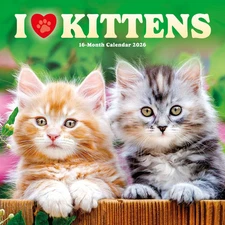 Carousel Calendars,  Kittens I Love 2026 Wall Calendar, 12'' X 12'', 16-Month Ca