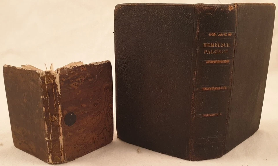 LOTTO DUE VOLUMI ANTICHI IN TEDESCO UYTSPRAKEN VAN DE GODDELYKE 1764 PALMHOF 867 - Immagine 3 di 3