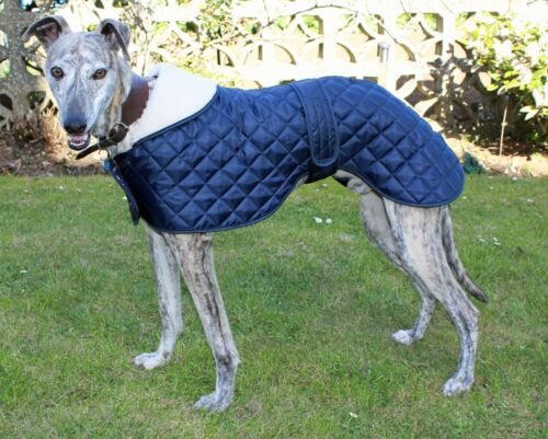 FACTORY SECOND - GREYHOUND / WHIPPET QUILTED ANORAK DOG COAT. MADE IN THE UK - Afbeelding 1 van 15