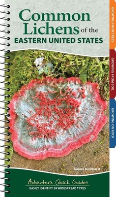 Common Lichens of the Eastern United States: Easily Identify More Than 55 Widesp