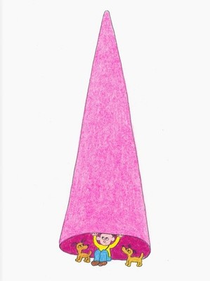 The Magic Hat by Bird Pit (English) Paperback Book