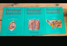 Pernkopf Anatomie des Menschen Atlas topograp...