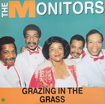 The Monitors   Grazing In The Grass - Motorcity Records - UK 1990 - STUNNING