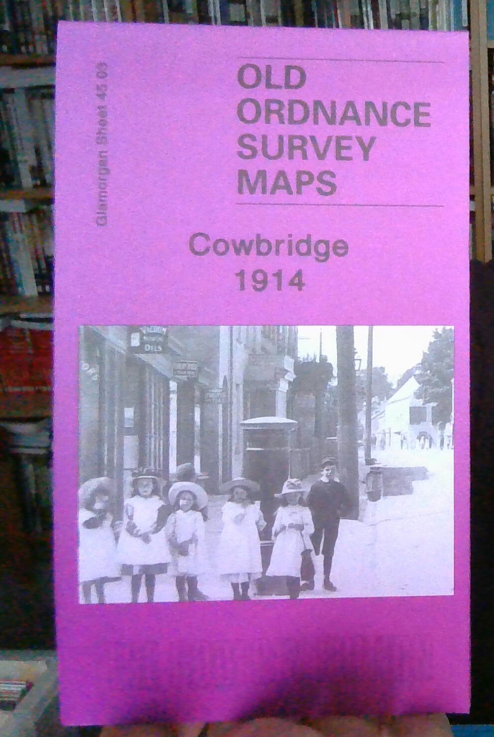 MAP OF Cowbridge 1914 Glamorgan Sheet 45.03 by Derrick Pratt NEW 9781847840035