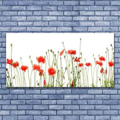 Acrylglasbilder Wandbilder aus Plexiglas  140x70 Mohnblumen Pflanzen