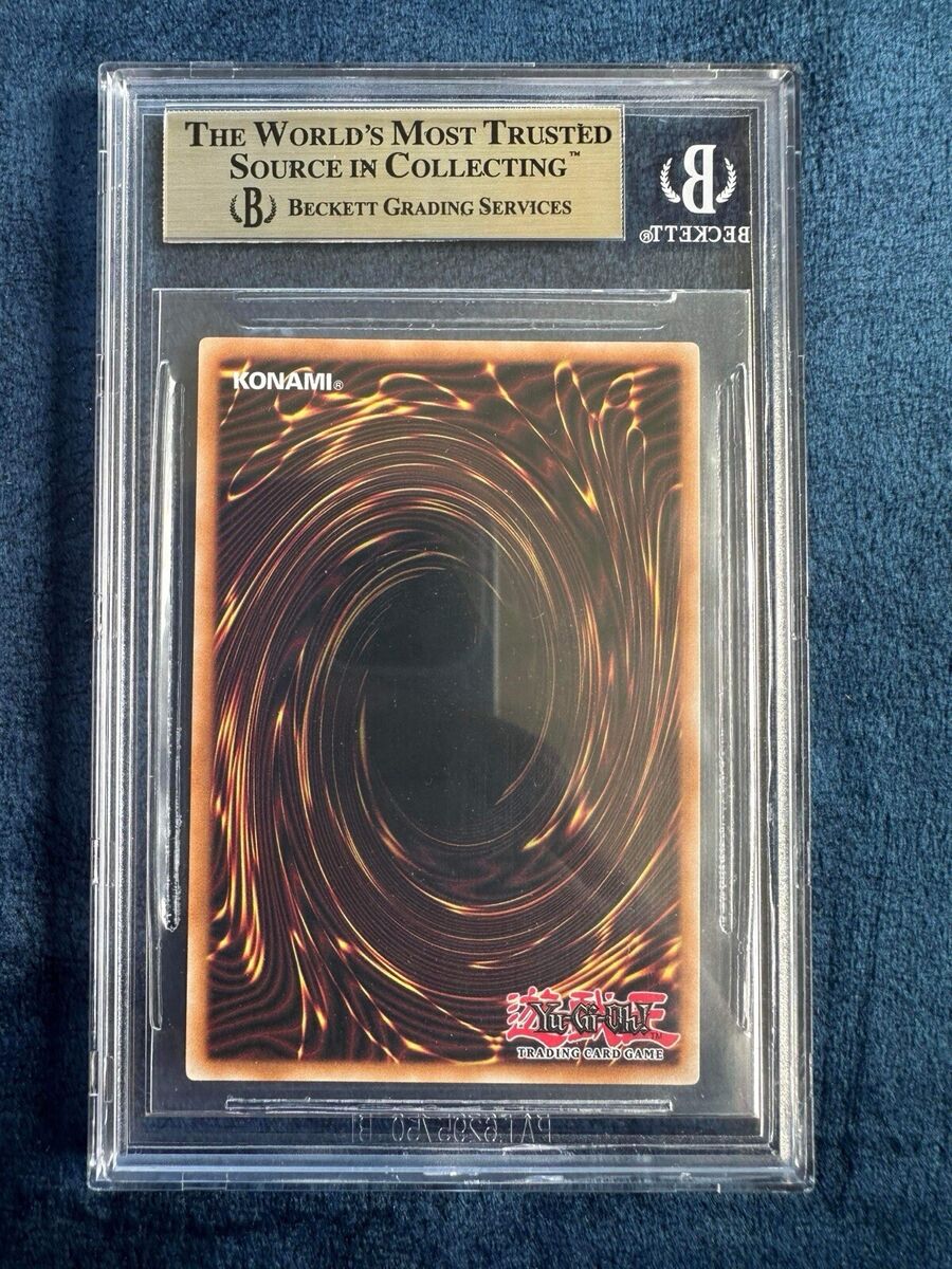 DUEL LINK, THE DUEL LINK DRAGON SR 遊戯王 Duel Link Dragon, the Duel Dragon | Yu-Gi-Oh! Wiki | Fandom