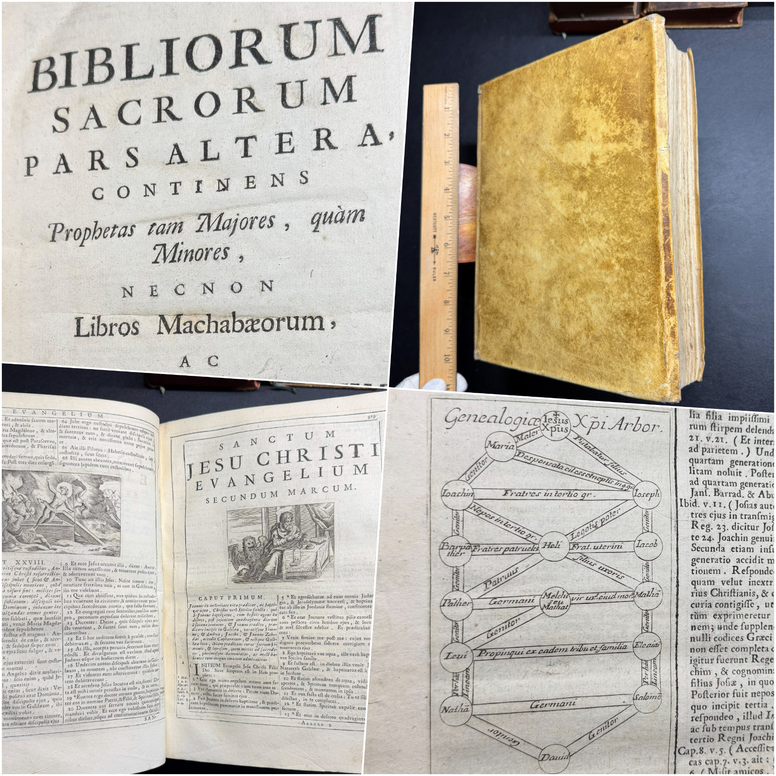 1729 ✝️ Holy Bible Biblia Sacra, Prophets & New Testament, Vol 2, Illustrated