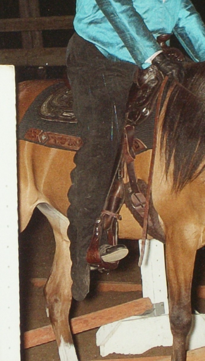 Chaps, Western Horse Show Women’s Size XL (18/20)