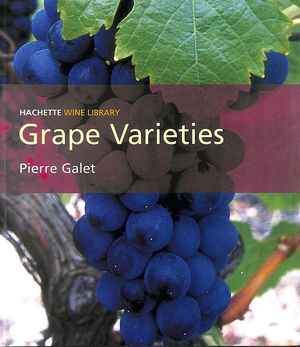Grape Varieties: A Study of Wine by Galet, Pierre