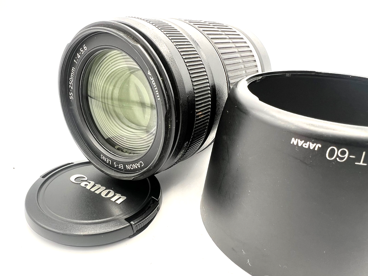 Canon EF-S 55-250mm f/4-5.6 IS Zoom Lens EOS 7D 80D Tested -1Day