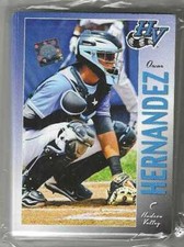 2013 HUDSON VALLEY RENEGADES TEAM SET NEW COMPLETE 1 ONLY