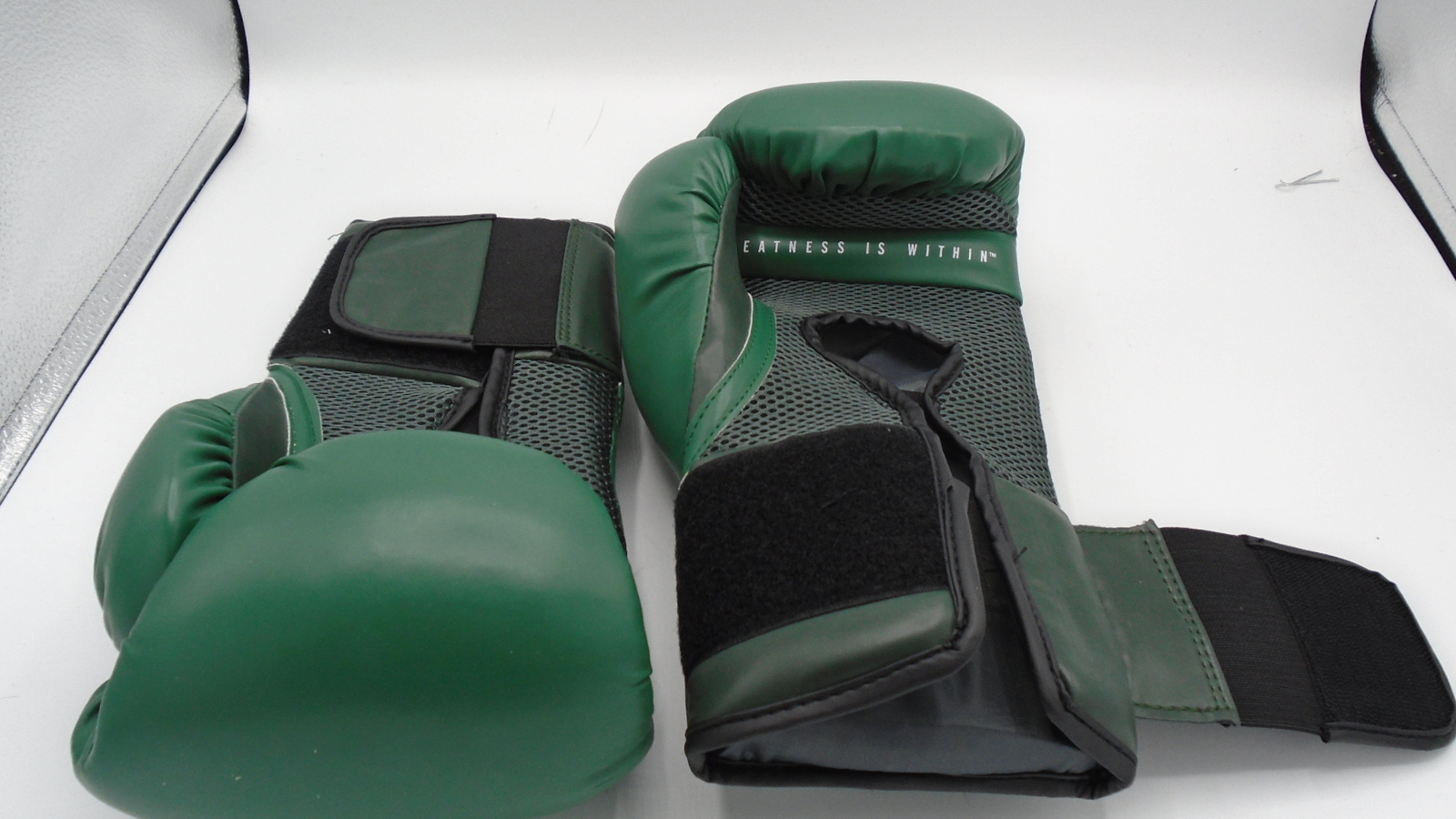 Everlast Elite Pro Style Training Gloves, Green 14oz INSTITUTO