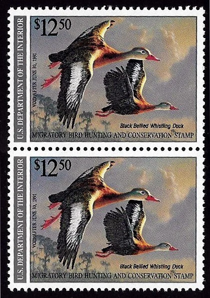 RW57a ERROR pair - Missing back inscription - Image 2 of 3