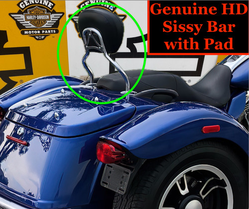 15-26 OEM Harley Trike FreeWheeler Road Glide 3 RG3 Sissy Bar Passenger Backrest