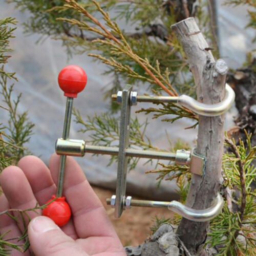 Outil de cintrage de bonsaï tondeuse outil de pliage de plante taille branche - Photo 1 sur 12