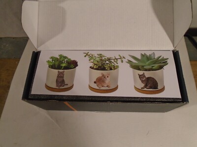 Cat Planters 3 Porcelain with wood bases. Rosa Vila  New In Box Gift