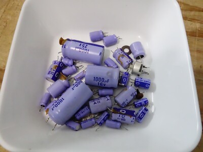 Roland RE-101 Space Echo - 1976 Model - Serviced / Recapped - J044