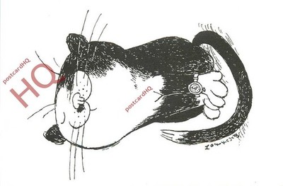 Ansichtskarte: Annetta Hoffnung, eine Katze