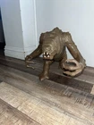 Vintage Kenner Star Wars Rancor 1983 Action Figure Return of the Jedi  Toy