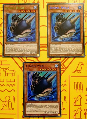 Zitadellenwal (Grün, Blau & Lila Ultra Rare) - LDS1-DE027 - Yu-Gi-Oh TCG