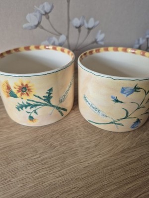 Teetasse Royal Stafford Gardeners Journal Harebell und Pusteblume x 2