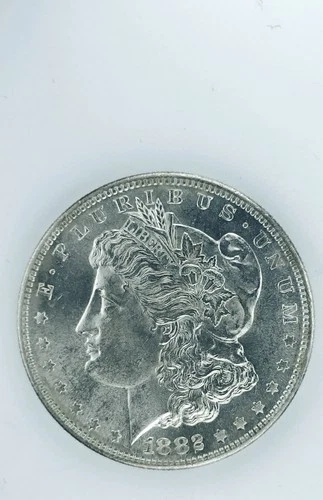 1882 S MORGAN DOLLAR! GEM BU+++! GREAT LUSTER! UNBELIEVABLE FIND! WOW! NR #P2157