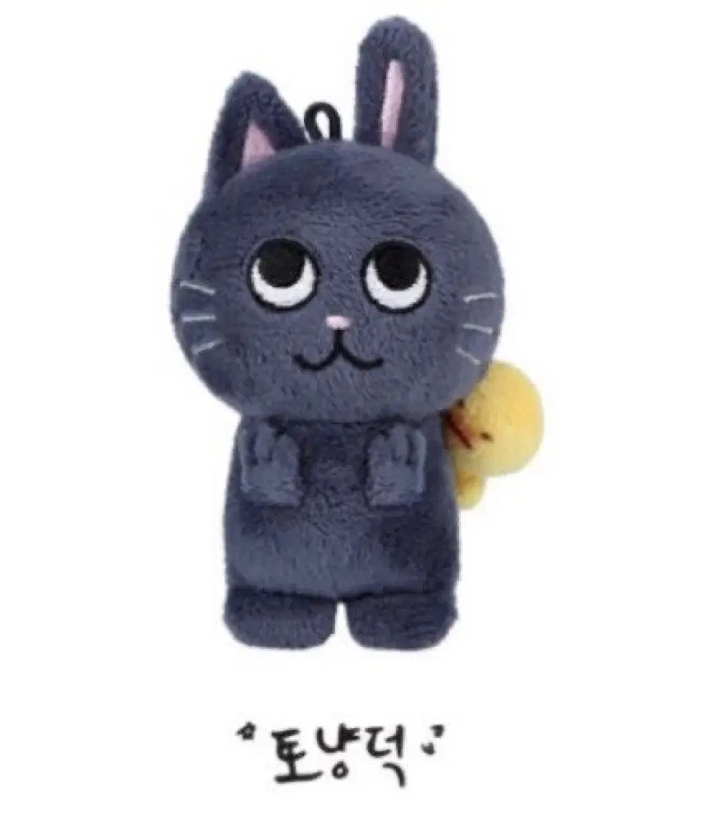 RIIZE MD Hug Rug ラグ ウォンビン トニャンドク WONBIN ktown4u.com : [Pre-order] RIIZE - [HUG SPECIAL MD] RUG