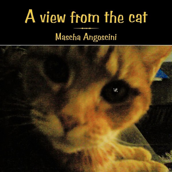 Mascha Angoscini | A View From The Cat | Taschenbuch | Englisch (2010)-image