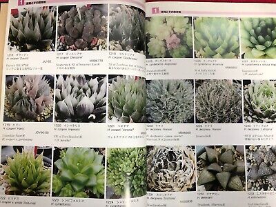 Haworthia Academy Photo Album vol.1 & vol.2 set Japan Book Haworthia Academy Photo Album vol.1 & vol.2 set Japan Book