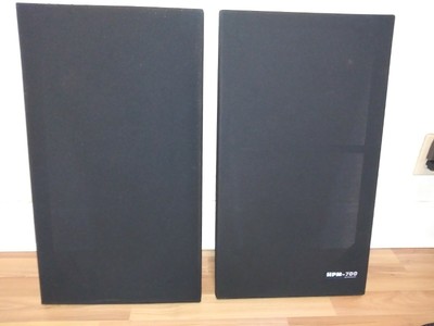 pioneer hpm 700 for sale