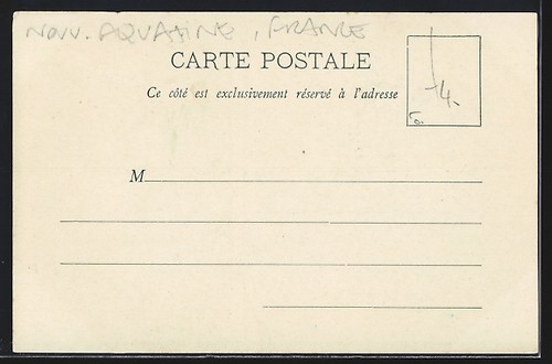CPA Biarritz, Attelage de Boeufs, Ochsengespann - Picture 2 of 2