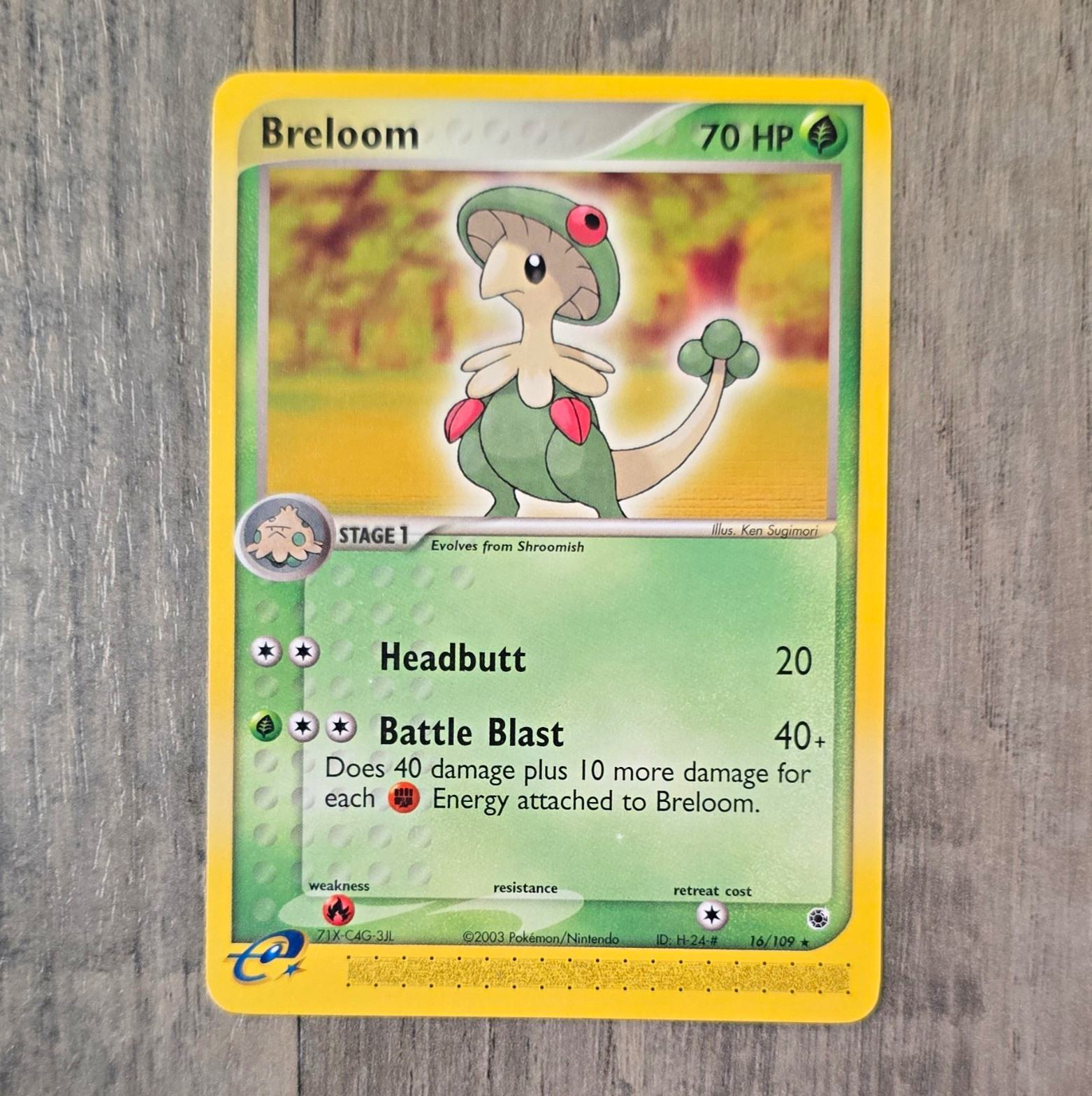 Breloom 16/109 EX Ruby & Sapphire Regular Rare Eng 2003 70HP Stage 1. LP/NM