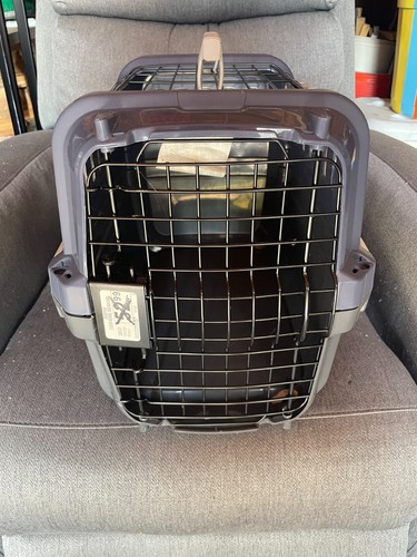small hard plastic pet carrier