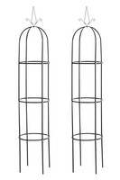 2Er Set RosensäUle Romantika Schwarz