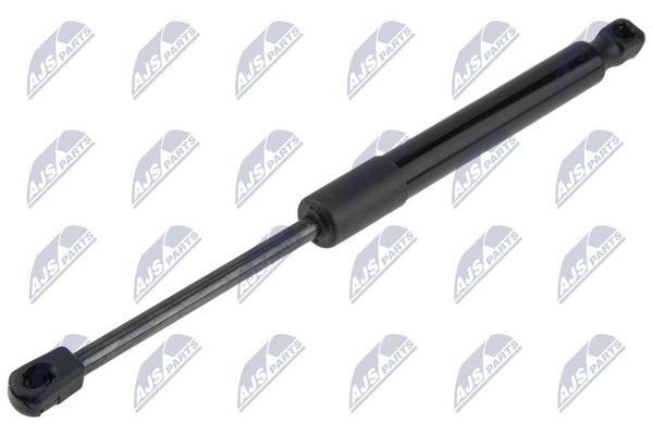 Nty Gasfeder, Koffer-/Laderaum AE-CH-077 FüR Tesla-image