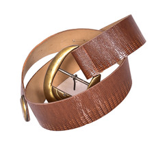 Brown 2 Inch Belt With Gold Buckle